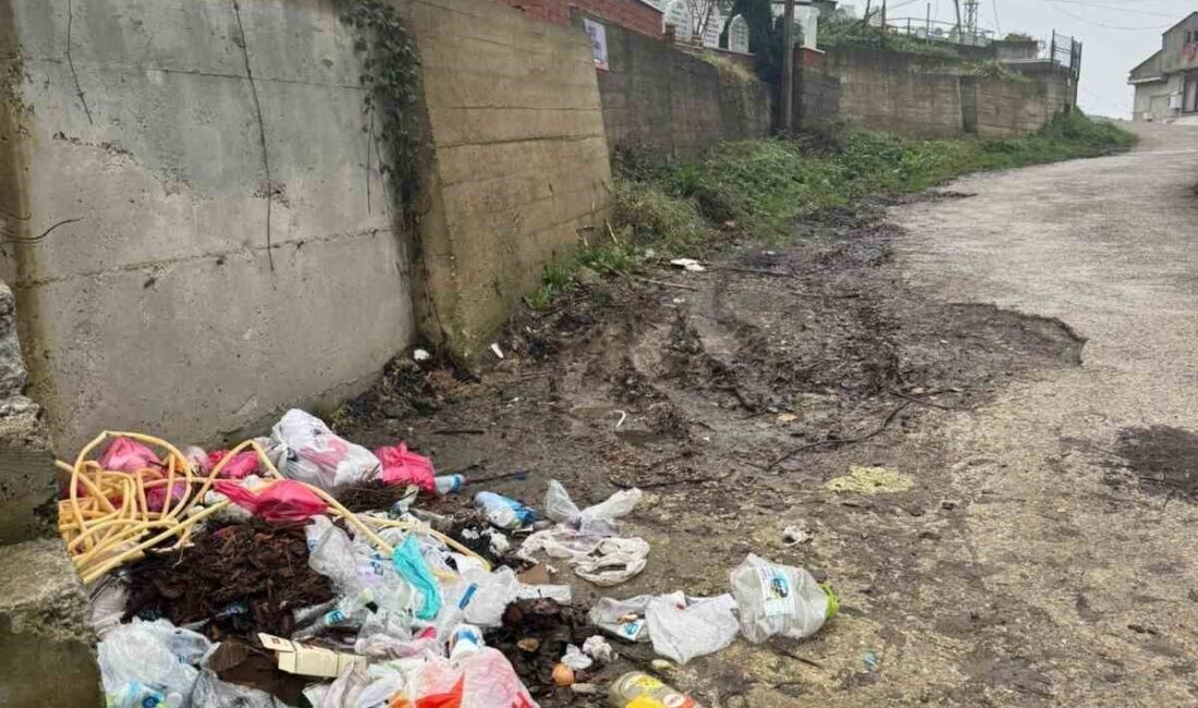 Zonguldak kent merkezine bağlı birçok mahallede zamanında toplanmayan çöpler ve