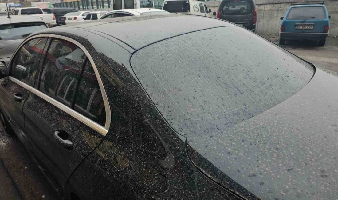 Zonguldak’ta etkili olan toz taşınımı, kenti etkisi altına alırken, ardından