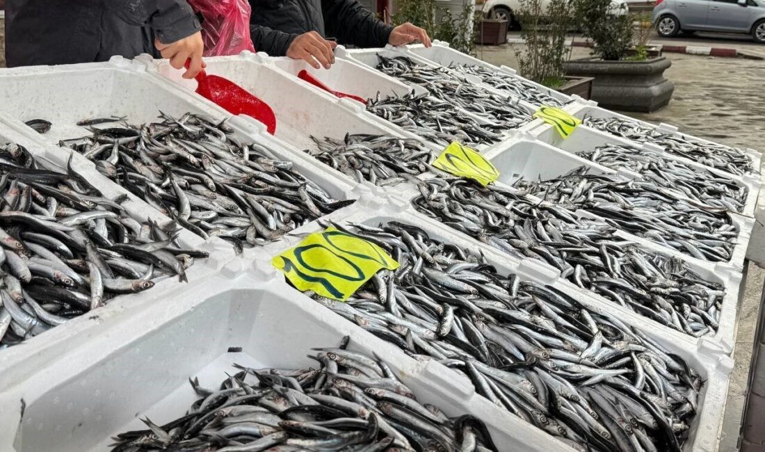 Zonguldaklı bir balıkçı esnafı, Sevgililer Günü nedeniyle hamsi fiyatlarında indirime