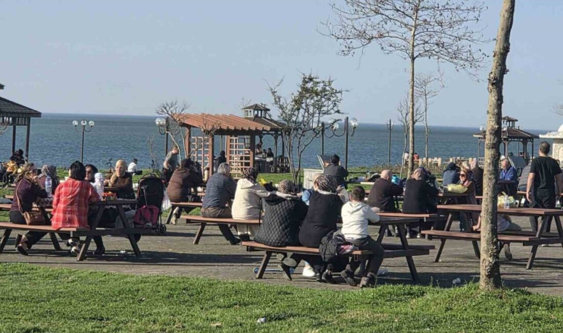 Zonguldak’ın Alaplı ilçesinde 15 Şubat’ta adeta yalancı bahar yaşandı. İlçede