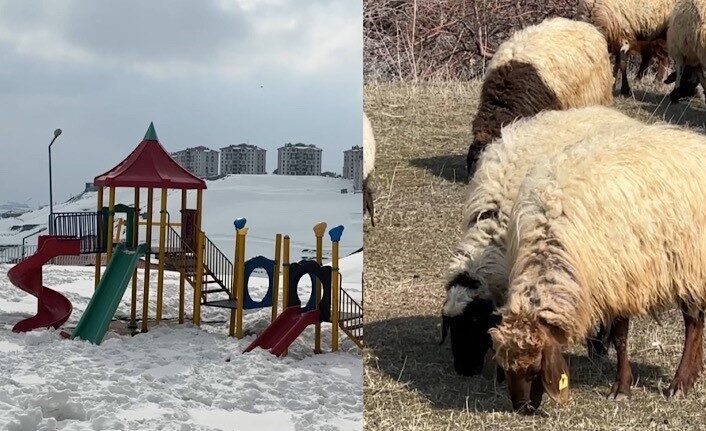Hakkari’nin Yüksekova ilçesinde son 10 yılın en çetin kış şartları