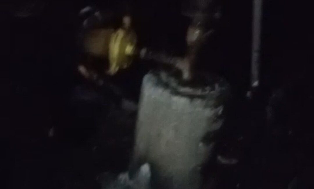 Adana’nın Ceyhan ilçesinde bir evin deposunda çıkan yangında, 40 güvercin