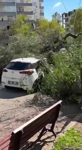 Adana’da şiddetli rüzgar hayatı olumsuz etkiledi. Rüzgarda devrilen ağaçlardan bazıları