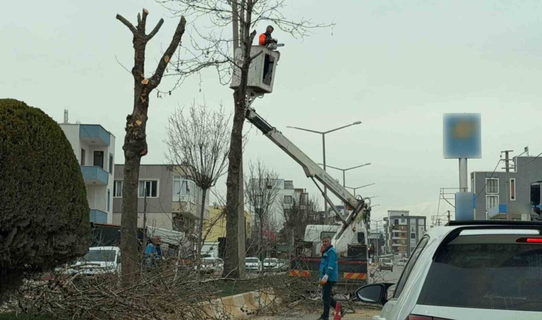 Adıyaman Belediyesi Park ve Bahçeler Müdürlüğü ekipleri tarafından şehir genelindeki