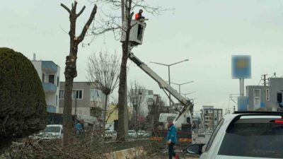Adıyaman Belediyesi Park ve Bahçeler Müdürlüğü ekipleri tarafından şehir genelindeki