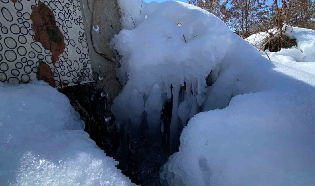 Ağrı’da hava sıcaklıklarının sıfırın altında seyretmesi hayatı olumsuz etkilerken, kentte