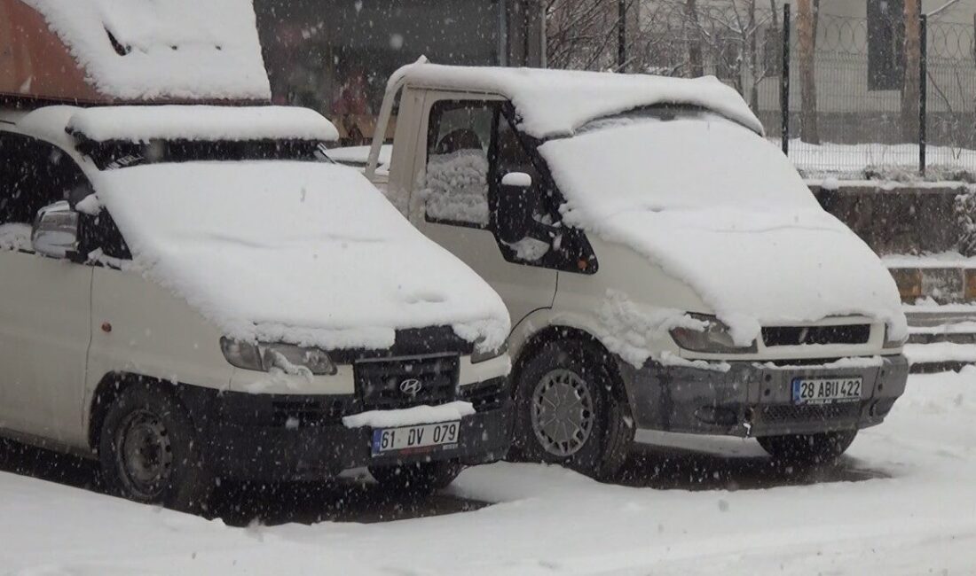 Bitlis’in Ahlat ilçesinde gece saatlerinden itibaren etkisini gösteren kar yağışı