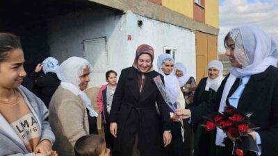 AK Parti Diyarbakır Milletvekili Suna Kepolu Ataman ve beraberindekiler, Çınar