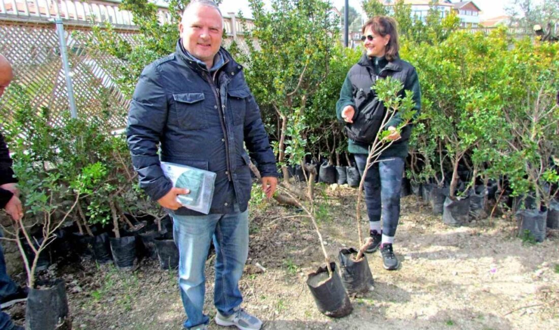 Alaçatı Gıda Topluluğu’nun başlattığı kampanya ile Çeşme Yarımadası’nın simgesi sakız