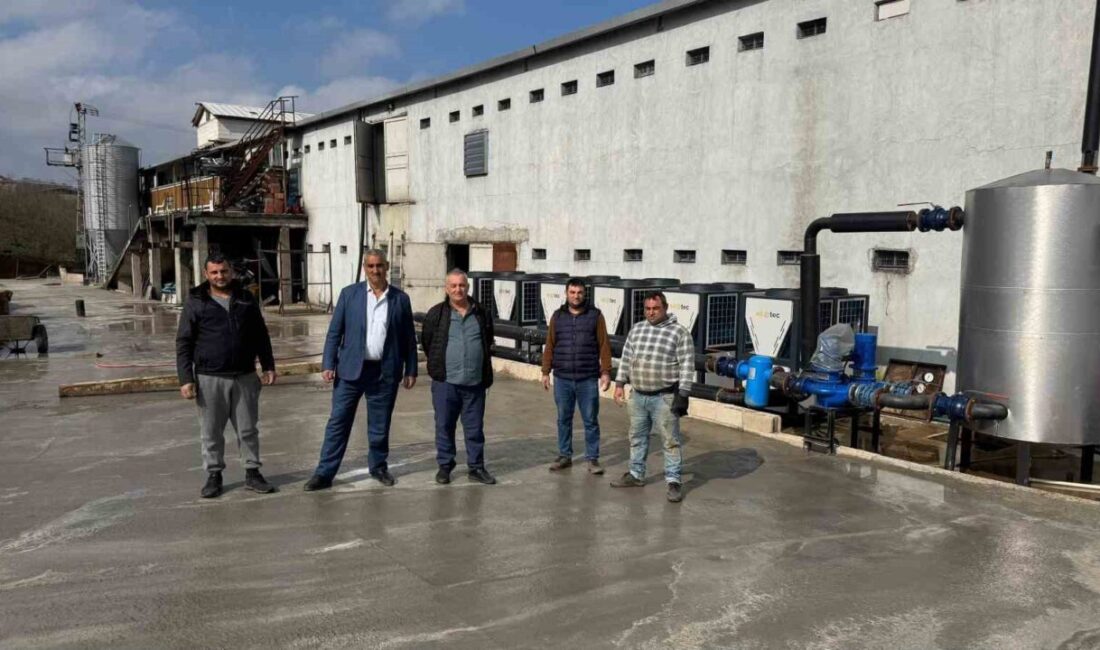 Zonguldak’ın Alaplı ilçesinde, Mollabey ile Çaydeğirmeni arasında bulunan çayda çok