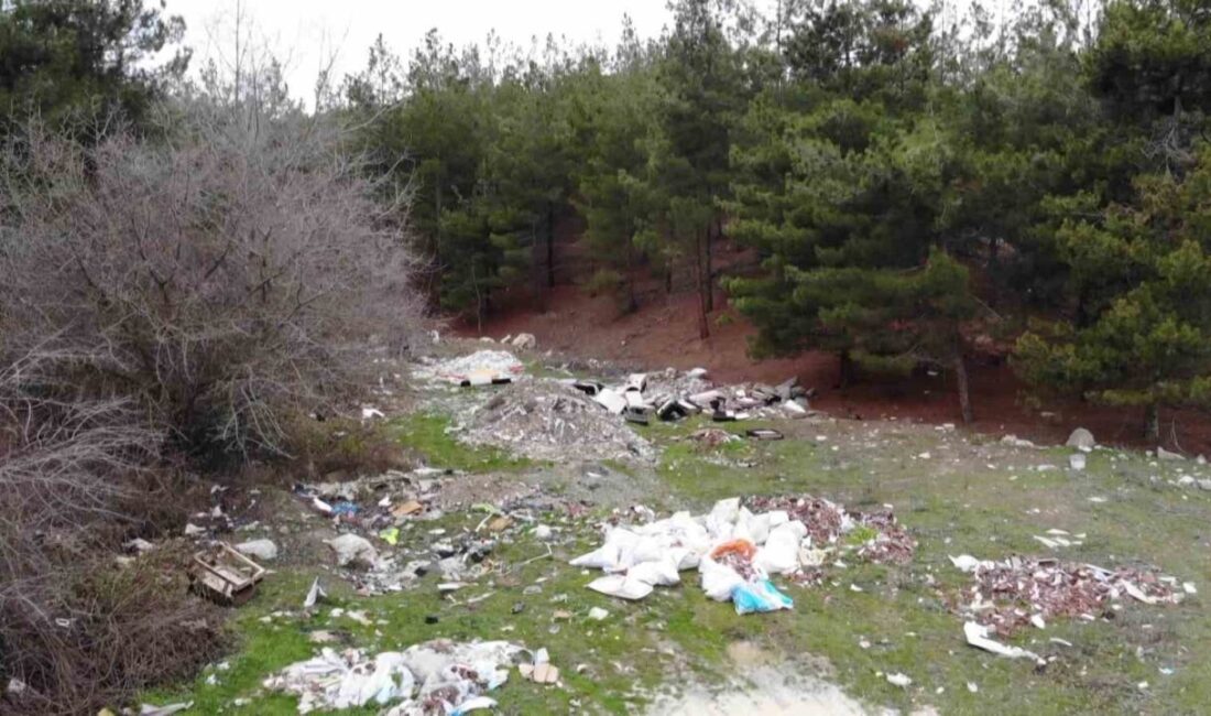 Amasya’da şehrin zirvesindeki ormanlık alan, çöp ve inşaat atıklarının bırakılmasıyla