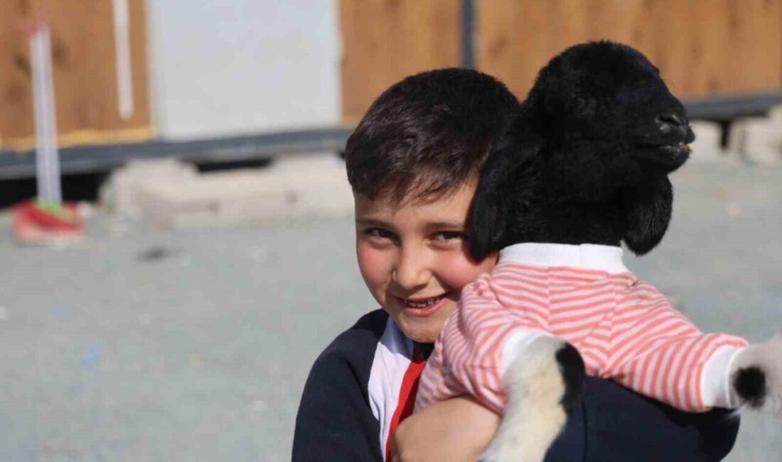 Hatay’da annesi telef olan kuzuyu sahiplenen ve ona ’Boncuk’ ismini