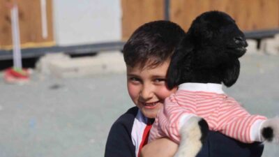 Hatay’da annesi telef olan kuzuyu sahiplenen ve ona ’Boncuk’ ismini