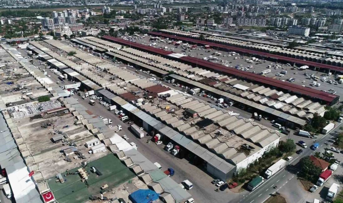 Antalya Ticaret Borsası’nın (ATB) açıkladığı Şubat ayı hal endeks verilerine