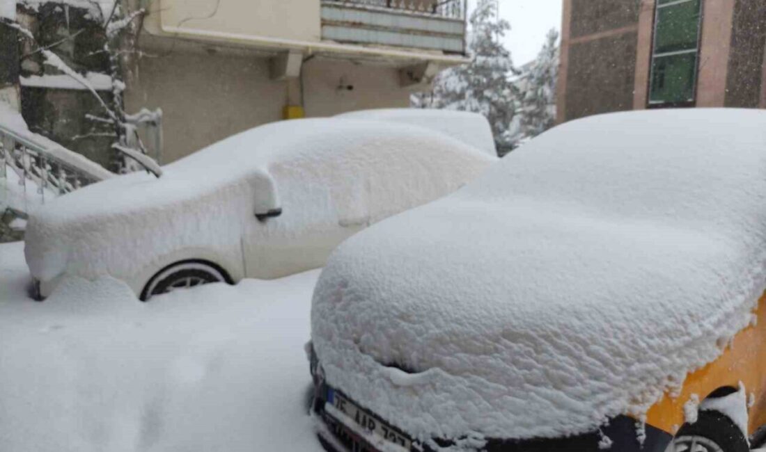 Ardahan’da kar yağışı yeniden başladı. Ekipler, ulaşımın aksamaması için çalışmalarını
