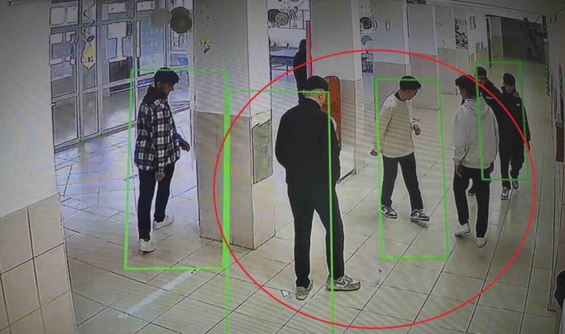 Hatay’da sosyal deney amaçlı bilinçli olarak yere bırakılan ve arkadaşlarının