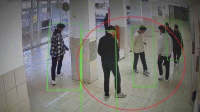 Hatay’da sosyal deney amaçlı bilinçli olarak yere bırakılan ve arkadaşlarının