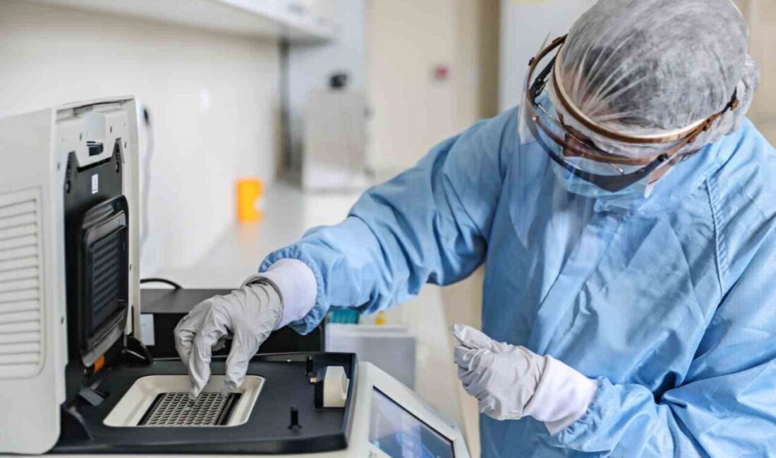 Times Higher Education (THE) 2026 Dünya Üniversite Sıralamaları, Atatürk Üniversitesinin