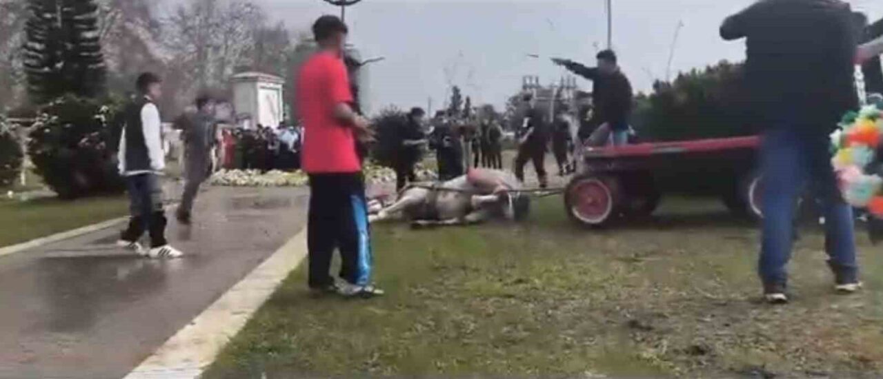 Adana’da bir kişi, koşmadığını iddia ettiği arabaya bağlı olan atını