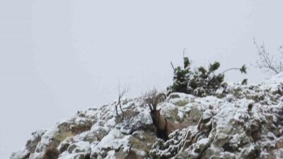 Bölgedeki yaban hayatının korunması, geliştirilmesi ve avcılığın sürdürülebilir bir şekilde