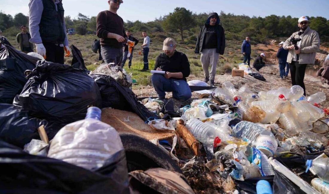 Ayvalık’ta, Avrupa Çevre Ajansı girişimiyle yürütülen Avrupa Çevre Ajansı Deniz