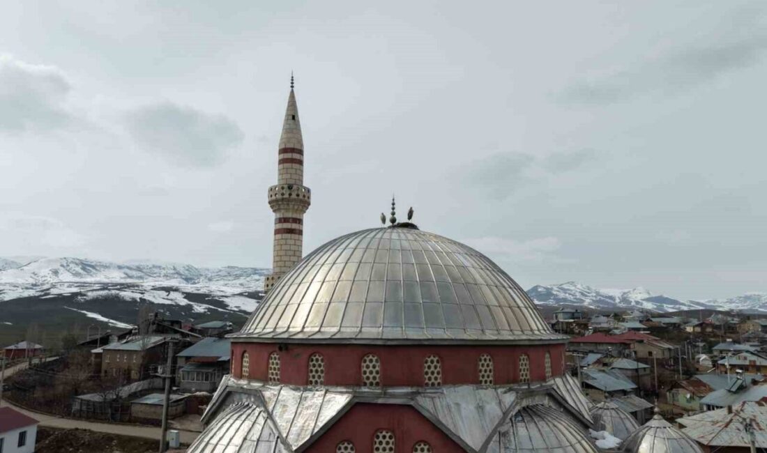 Türkiye’nin önemli sulak alanlarından biri olan Muş Ovası, baharın habercisi