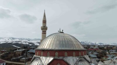 Türkiye’nin önemli sulak alanlarından biri olan Muş Ovası, baharın habercisi