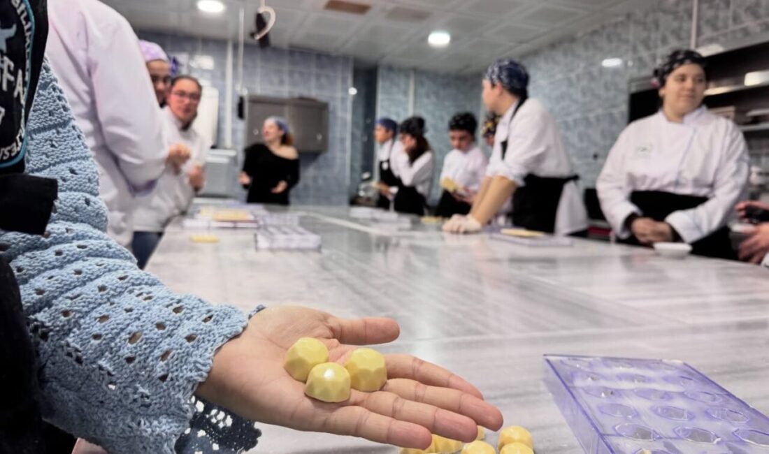 Balıkesir Üniversitesi Burhaniye Uygulamalı Bilimler Fakültesi Gastronomi ve Mutfak Sanatları