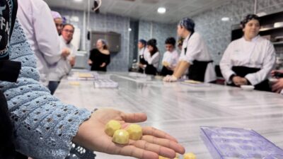 Balıkesir Üniversitesi Burhaniye Uygulamalı Bilimler Fakültesi Gastronomi ve Mutfak Sanatları