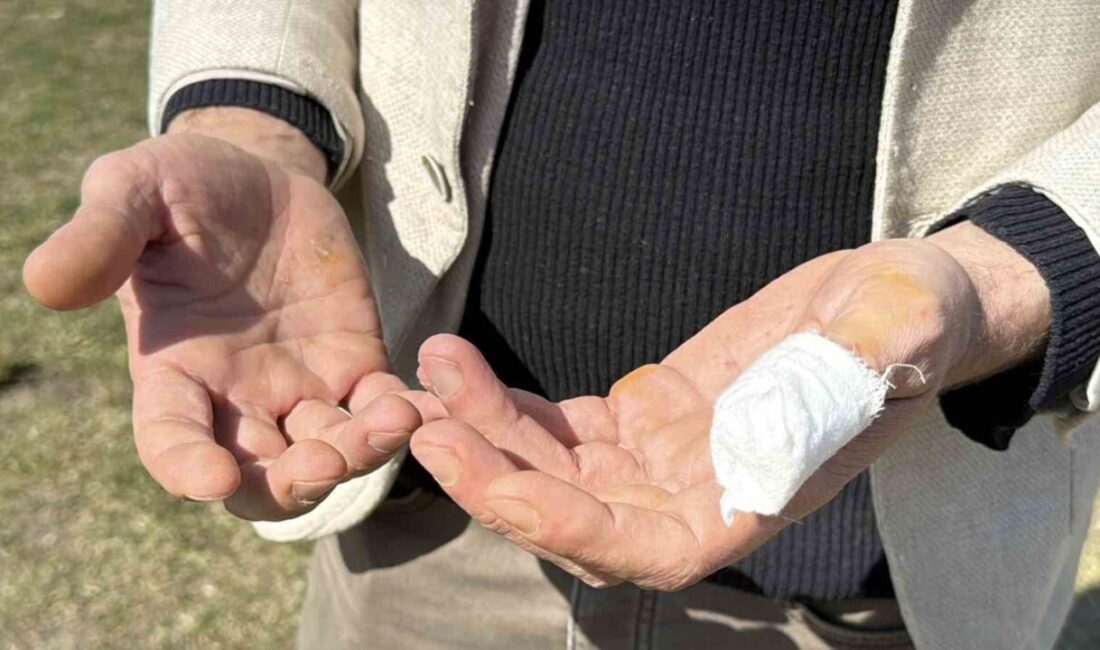 Karabük’te köpeğini tuvalete çıkarmak için parka giden bir vatandaş, başıboş