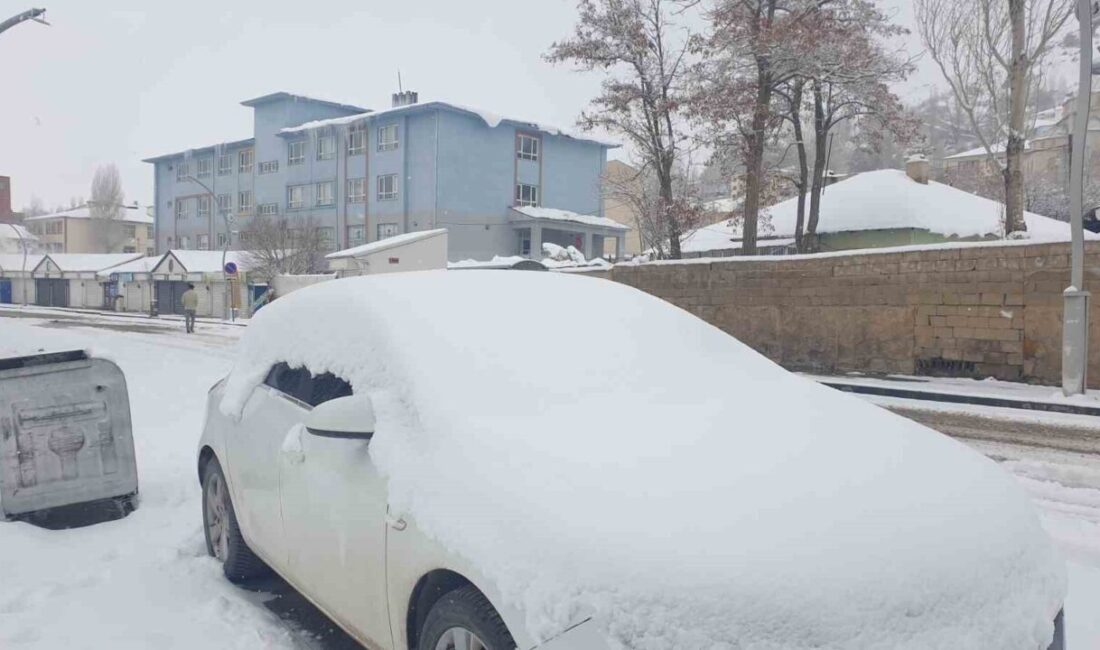 Van’ın Başkale ilçesinde soğuk hava yerini kar yağışına bıraktı. İlçede