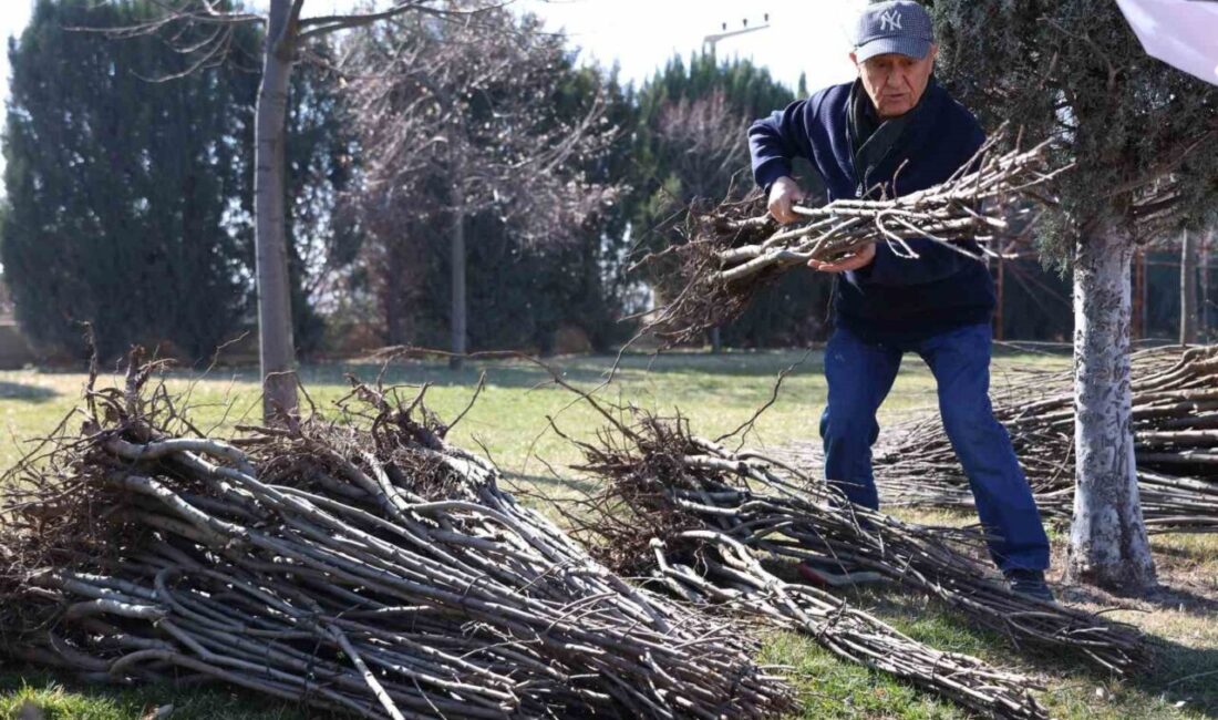 Konya Büyükşehir Belediyesi, tarımsal üretimin artırılması ve kırsal kalkınmanın desteklenmesi