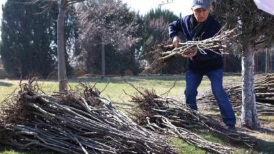 Konya Büyükşehir Belediyesi, tarımsal üretimin artırılması ve kırsal kalkınmanın desteklenmesi