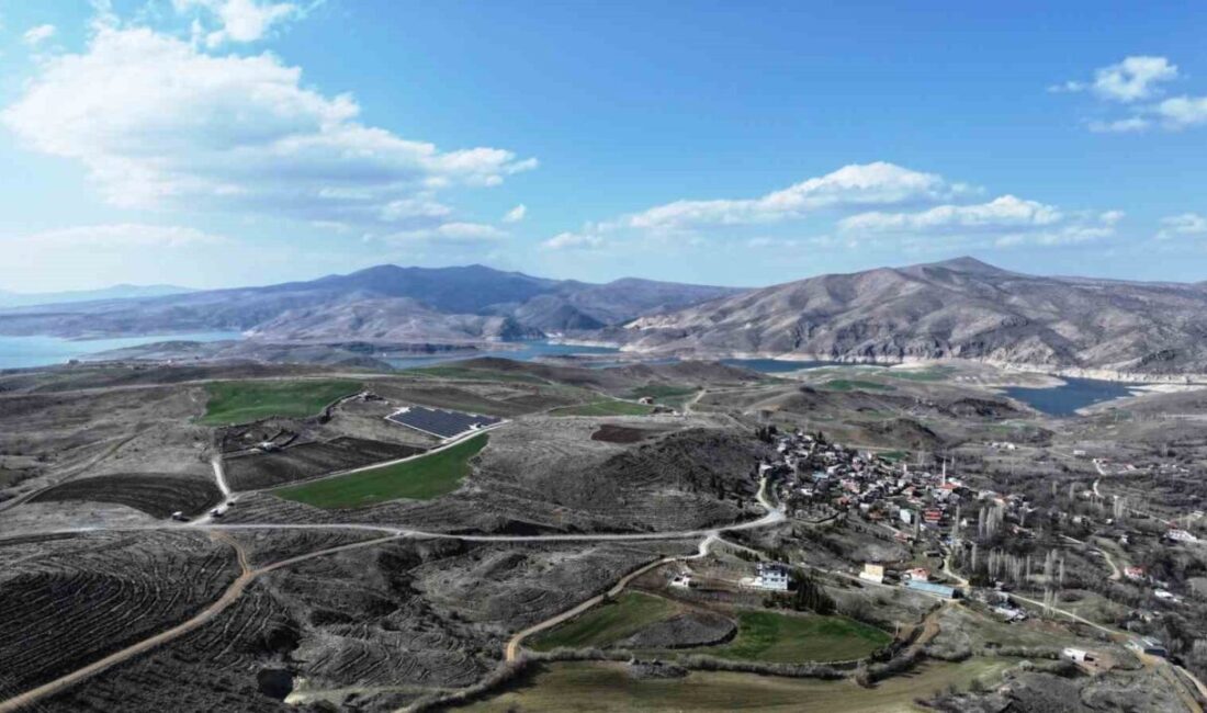 Kocasinan Belediyesi, ağaç dikim mevsimi gelmesiyle birlikte fidan ve ağaç