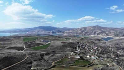 Kocasinan Belediyesi, ağaç dikim mevsimi gelmesiyle birlikte fidan ve ağaç