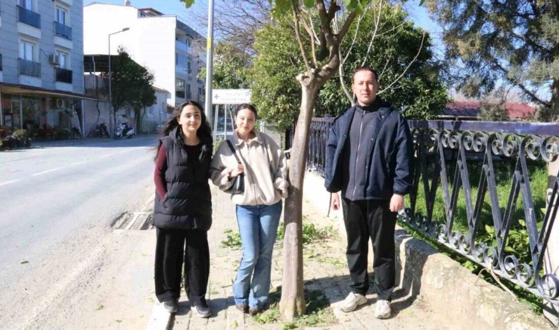 Aydın’ın Yenipazar ilçesinde üniversite yolunda öğrencilerin yaşadığı kaldırım sorunu, Belediye