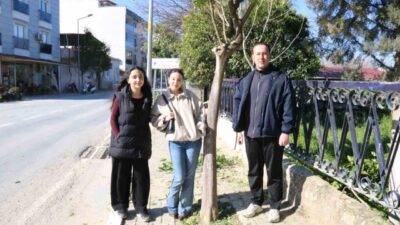 Aydın’ın Yenipazar ilçesinde üniversite yolunda öğrencilerin yaşadığı kaldırım sorunu, Belediye