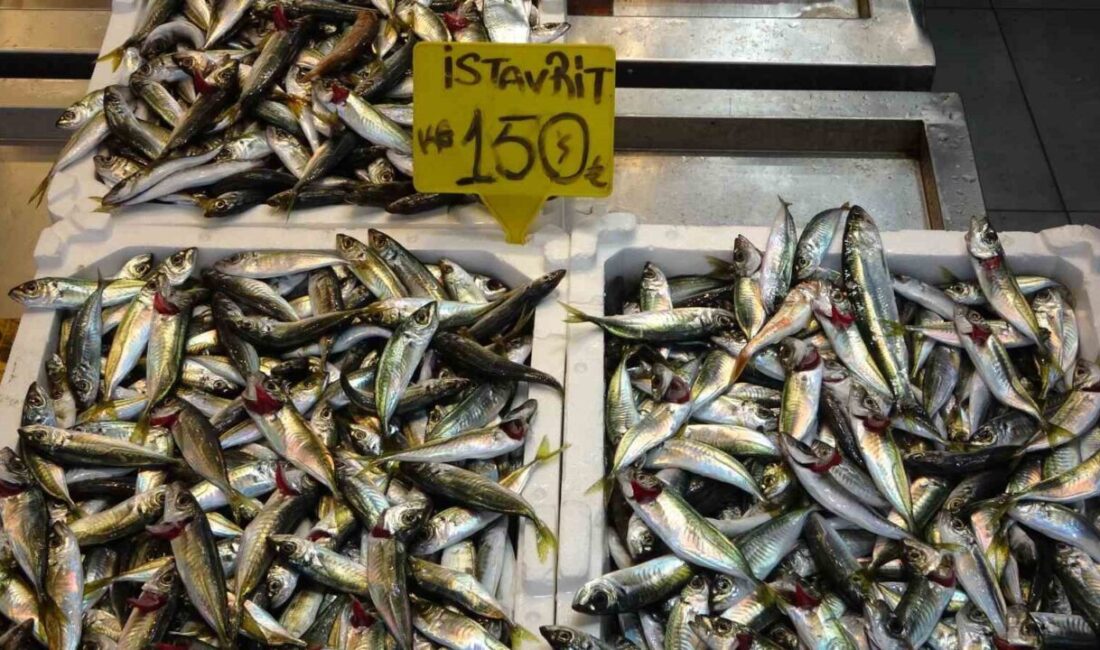 Ramazan Bayramı öncesinde balık tezgahlarında hareketlilik yaşanırken, tezgahlardaki çeşitlilik ve