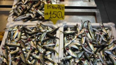 Ramazan Bayramı öncesinde balık tezgahlarında hareketlilik yaşanırken, tezgahlardaki çeşitlilik ve