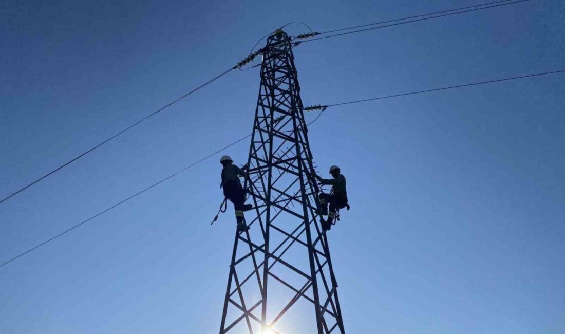 Samsun merkezli ve 2,5 milyondan fazla aboneye hizmet veren elektrik