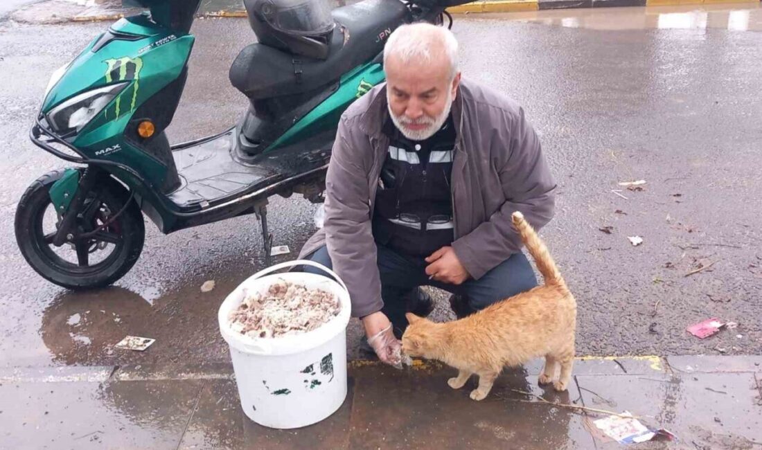 Diyarbakır Sokak Hayvanlarını Koruma ve Yaşatma Derneği Başkanı Yılmaz Acu,