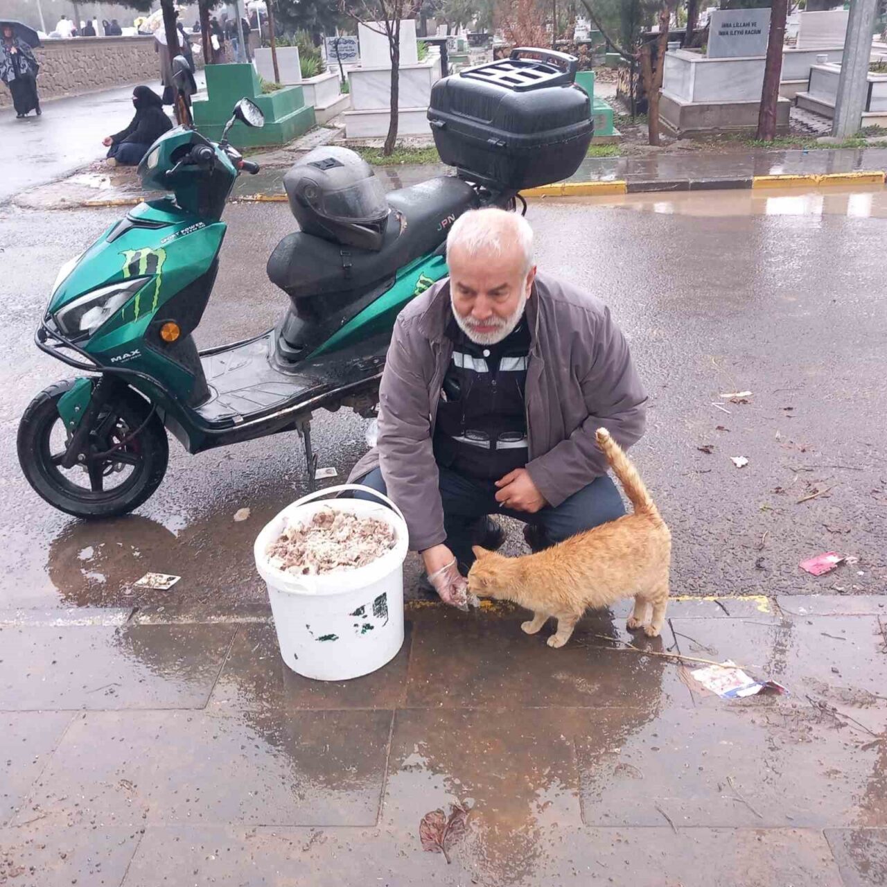 Diyarbakır Sokak Hayvanlarını Koruma ve Yaşatma Derneği Başkanı Yılmaz Acu,