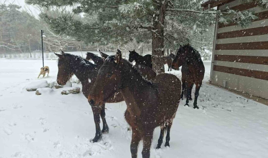 Ramazan Bayramı’nın ilk gününde Spil Dağı Milli Parkı yılın en