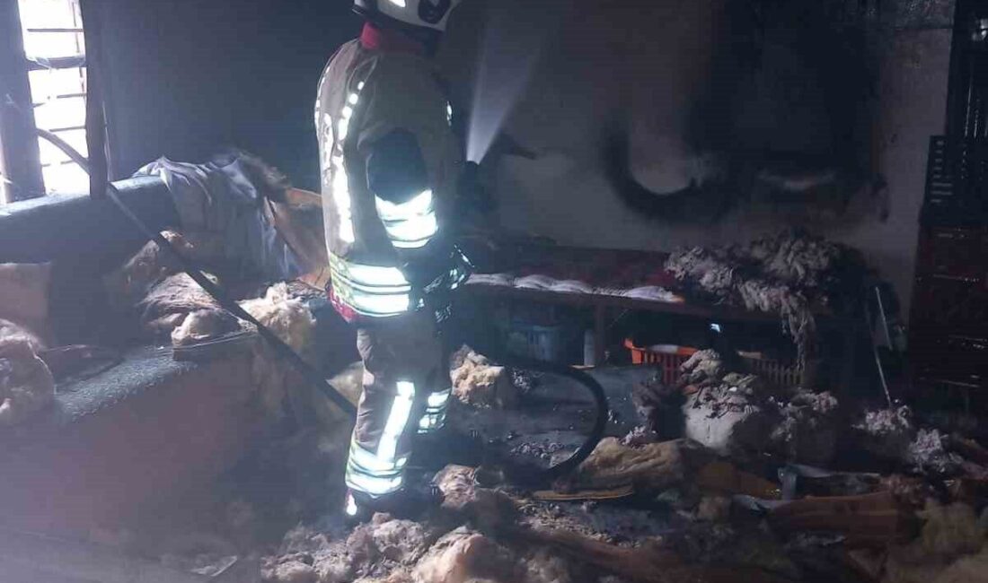 Hatay’ın Belen ilçesinde çıkan yangında yanan ev kullanılmaz hale geldi.