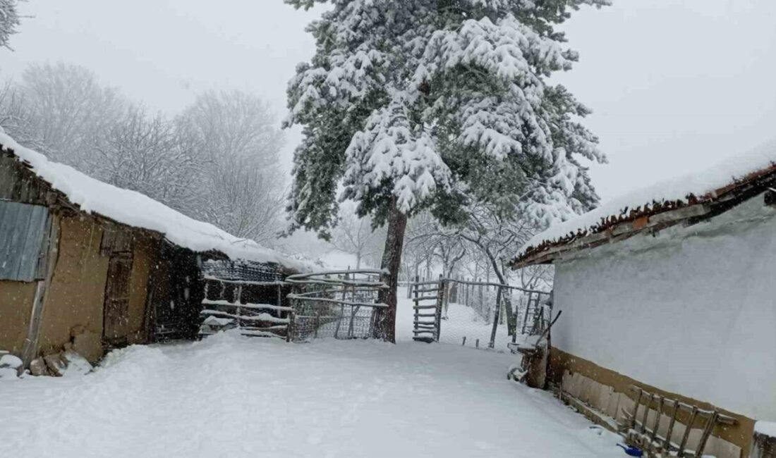 Bilecik’in Pazaryeri ilçe sakinleri bayram sabahına bembeyaz bir manzara ile
