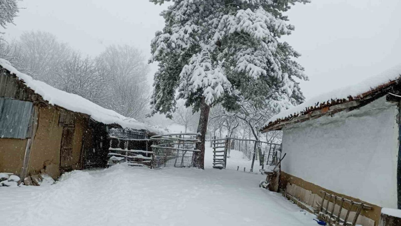 Bilecik’in Pazaryeri ilçe sakinleri bayram sabahına bembeyaz bir manzara ile