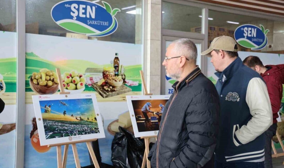 Bilecik’in Bozüyük ilçesinde ‘15. Uluslararası Tarım Orman ve İnsan Fotoğraf