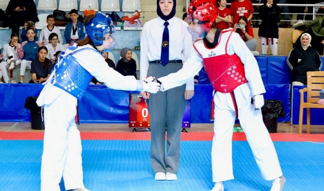Bilecik’te Tekvando Yıldızlar İl Birinciliği müsabakaları sona erdi. Atatürk Spor