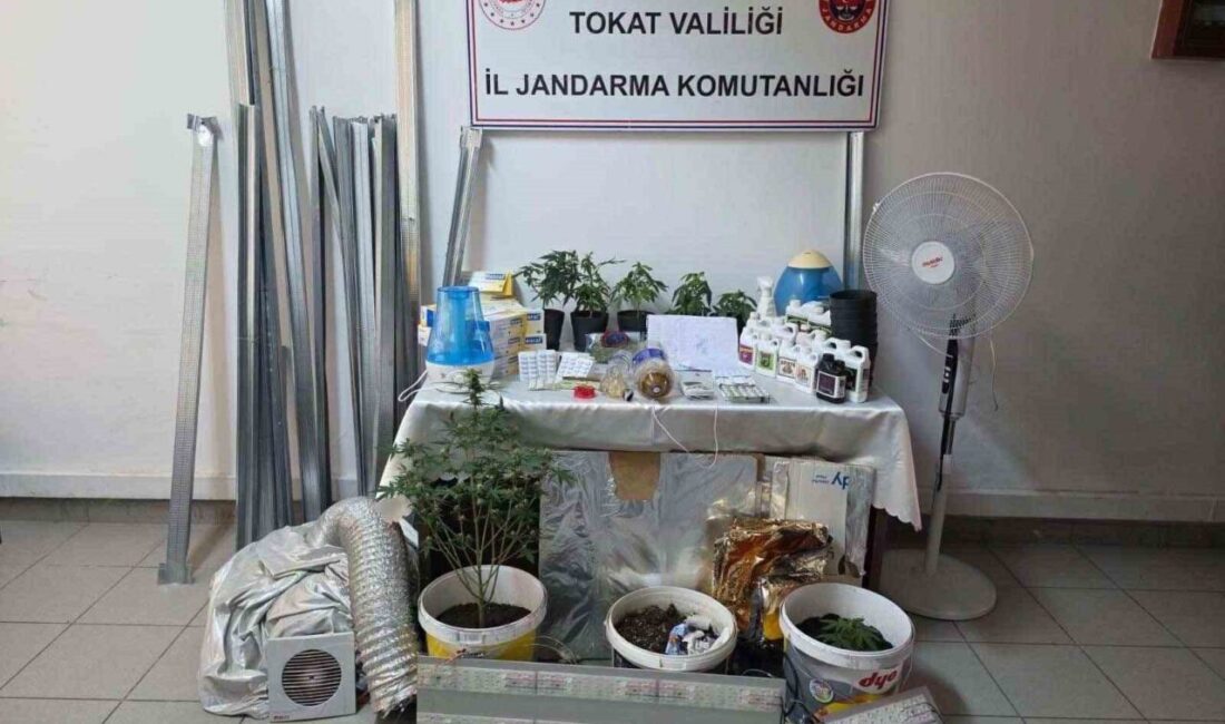 Tokat’ta jandarma ekiplerince düzenlenen operasyonda bir dairesi içerisinde kurulan uyuşturucu