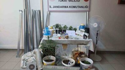 Tokat’ta jandarma ekiplerince düzenlenen operasyonda bir dairesi içerisinde kurulan uyuşturucu